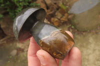 Polished Polychrome Jasper Mushrooms x 5 From Madagascar - Toprock Gemstones and Minerals 