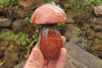 Polished Polychrome Jasper Mushrooms x 5 From Madagascar - Toprock Gemstones and Minerals 