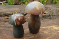 Polished Polychrome Jasper Mushrooms x 5 From Madagascar - Toprock Gemstones and Minerals 