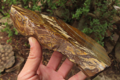 Polished On One Side Nguni Jasper Specimen x 1 From Prieska, South Africa - Toprock Gemstones and Minerals 