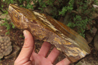Polished On One Side Nguni Jasper Specimen x 1 From Prieska, South Africa - Toprock Gemstones and Minerals 