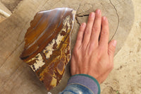 Polished On One Side Nguni Jasper Specimen x 1 From Prieska, South Africa - Toprock Gemstones and Minerals 