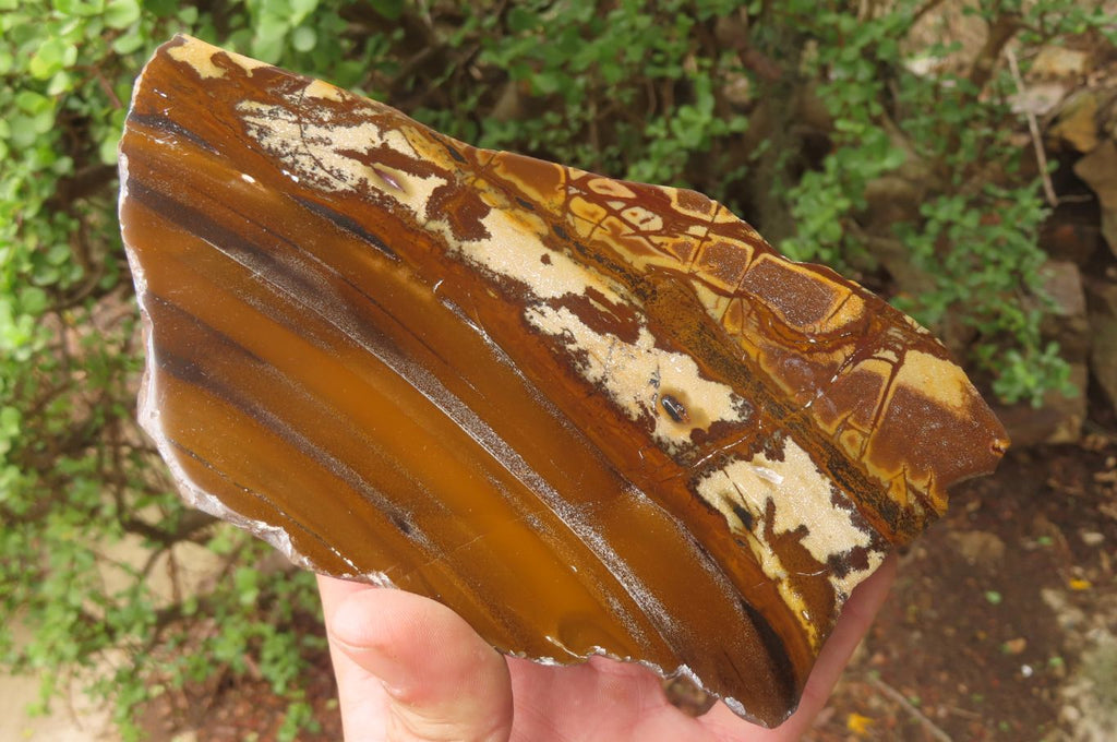 Polished On One Side Nguni Jasper Specimen x 1 From Prieska, South Africa - Toprock Gemstones and Minerals 