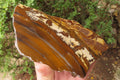 Polished On One Side Nguni Jasper Specimen x 1 From Prieska, South Africa - Toprock Gemstones and Minerals 