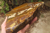 Polished On One Side Nguni Jasper Specimen x 1 From Prieska, South Africa - Toprock Gemstones and Minerals 