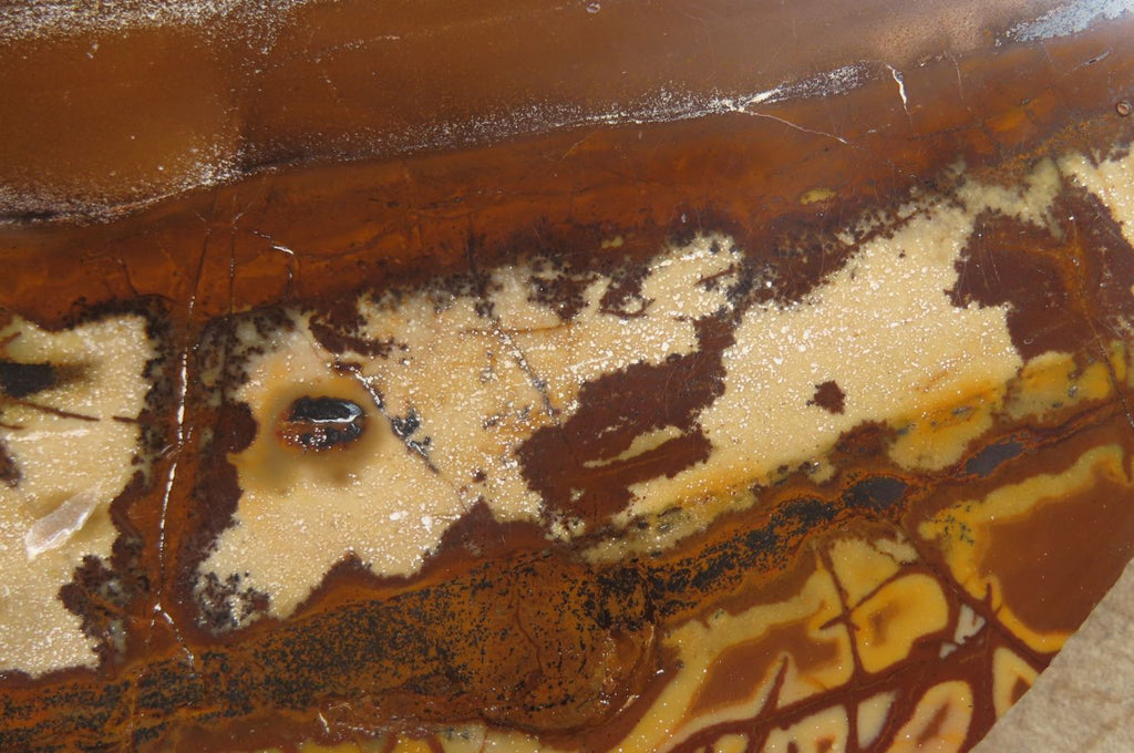 Polished On One Side Nguni Jasper Specimen x 1 From Prieska, South Africa - Toprock Gemstones and Minerals 