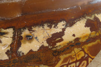Polished On One Side Nguni Jasper Specimen x 1 From Prieska, South Africa - Toprock Gemstones and Minerals 