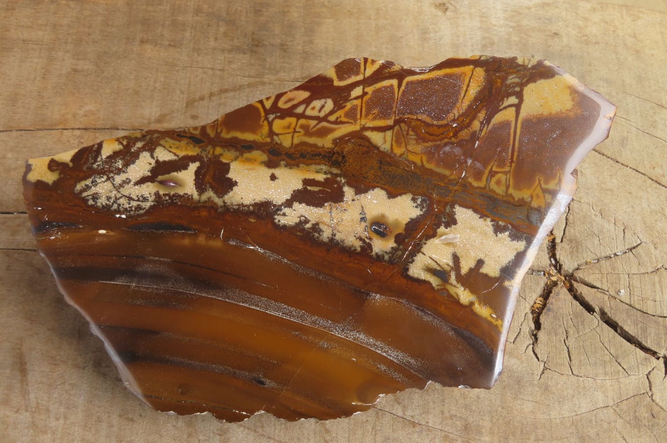 Polished On One Side Nguni Jasper Specimen x 1 From Prieska, South Africa - Toprock Gemstones and Minerals 