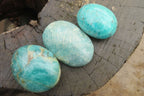 Polished Amazonite Palm Stones x 24 From Madagascar - Toprock Gemstones and Minerals 