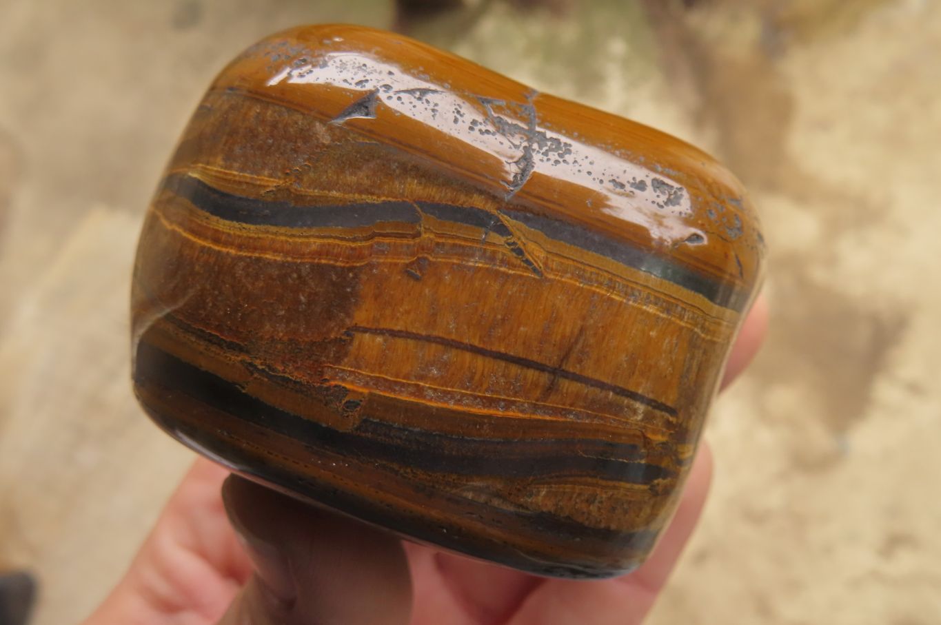 Polished Tiger's Eye Free Forms x 3 From Prieska, South Africa - Toprock Gemstones and Minerals 
