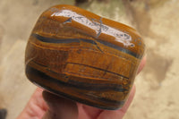 Polished Tiger's Eye Free Forms x 3 From Prieska, South Africa