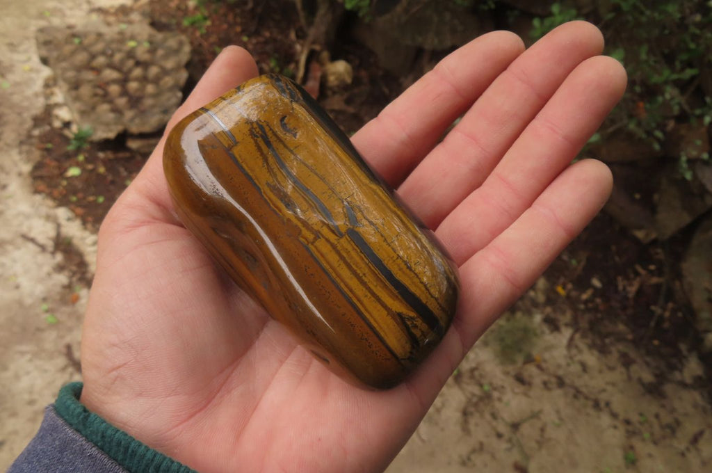 Polished Tiger's Eye Free Forms x 3 From Prieska, South Africa - Toprock Gemstones and Minerals 