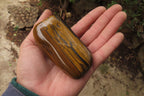 Polished Tiger's Eye Free Forms x 3 From Prieska, South Africa - Toprock Gemstones and Minerals 