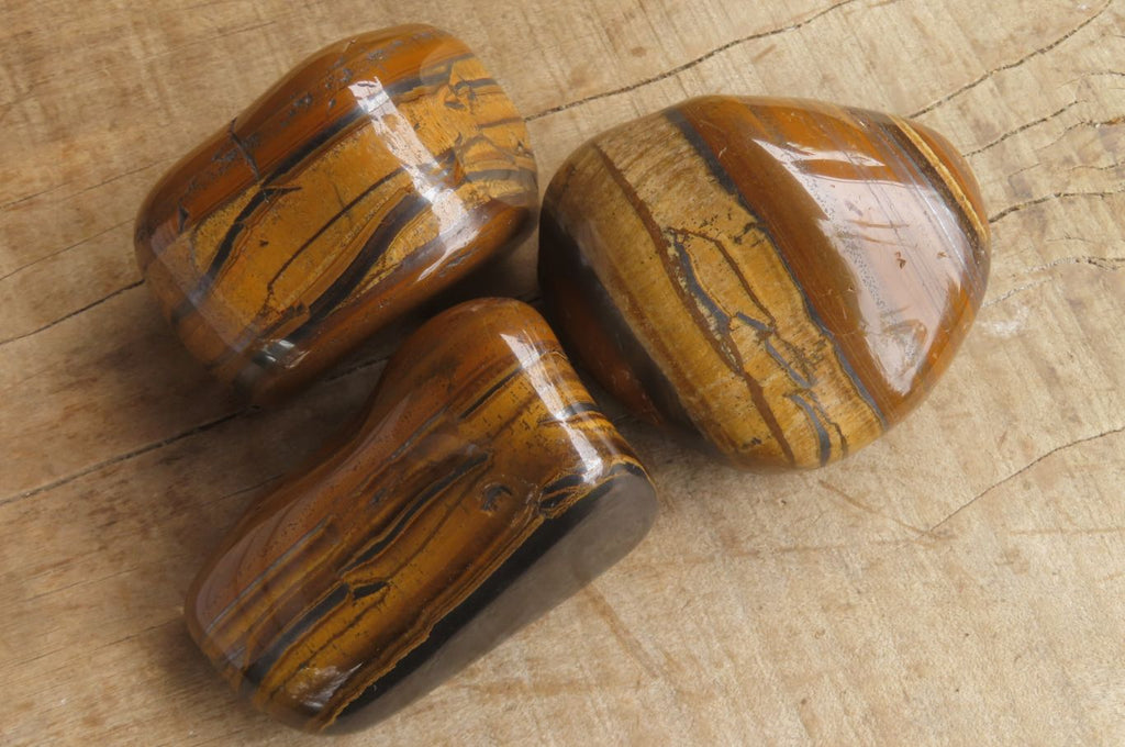 Polished Tiger's Eye Free Forms x 3 From Prieska, South Africa - Toprock Gemstones and Minerals 