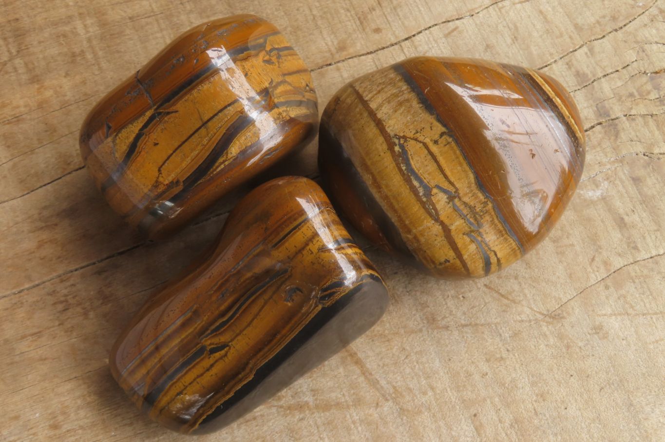 Polished Tiger's Eye Free Forms x 3 From Prieska, South Africa - Toprock Gemstones and Minerals 