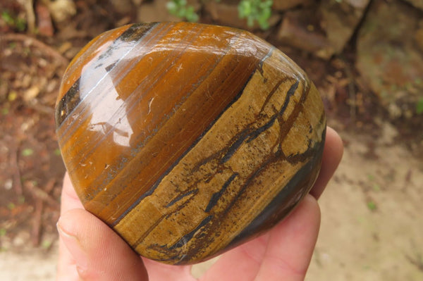 Polished Tiger's Eye Free Forms x 3 From Prieska, South Africa
