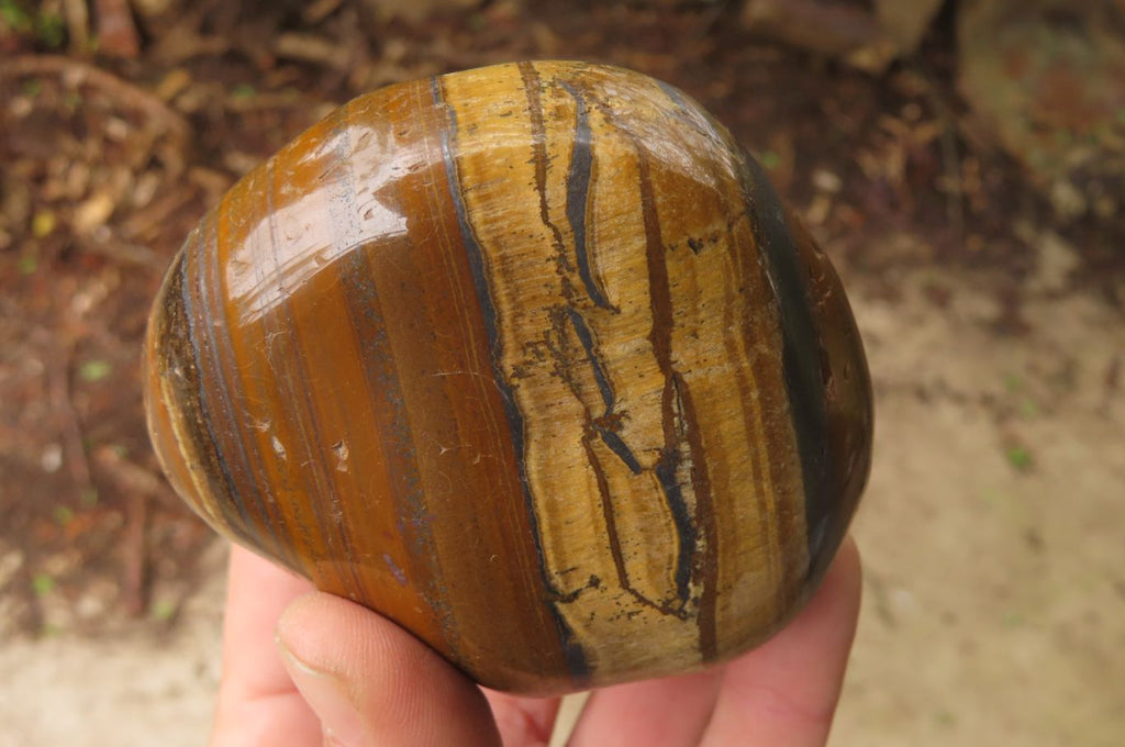 Polished Tiger's Eye Free Forms x 3 From Prieska, South Africa - Toprock Gemstones and Minerals 