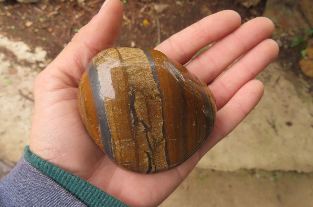 Polished Tiger's Eye Free Forms x 3 From Prieska, South Africa - Toprock Gemstones and Minerals 