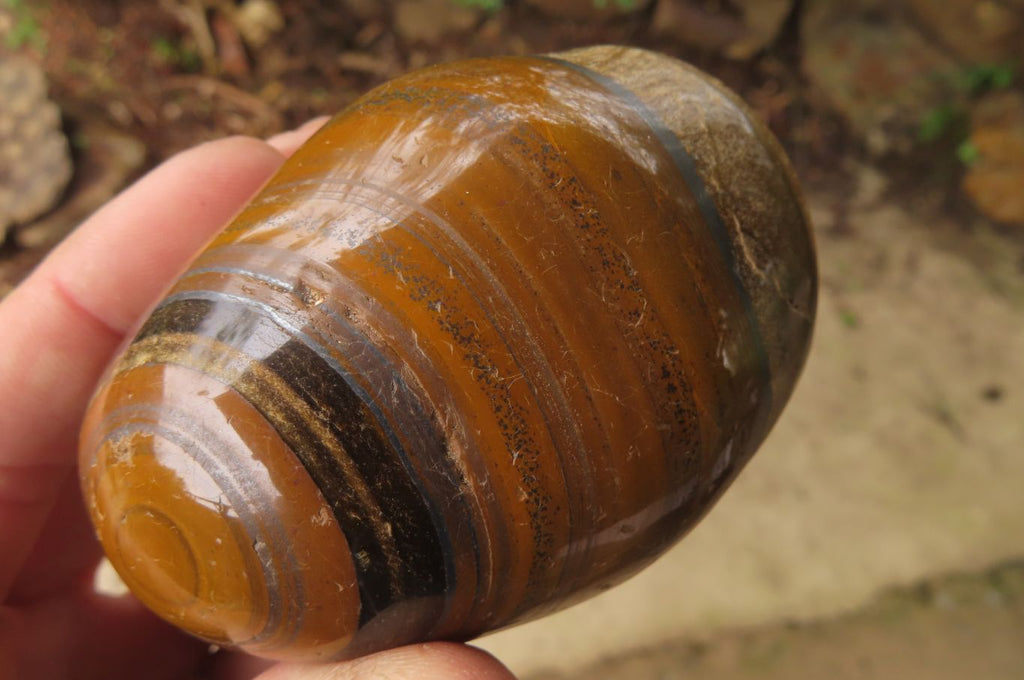 Polished Tiger's Eye Free Forms x 3 From Prieska, South Africa - Toprock Gemstones and Minerals 