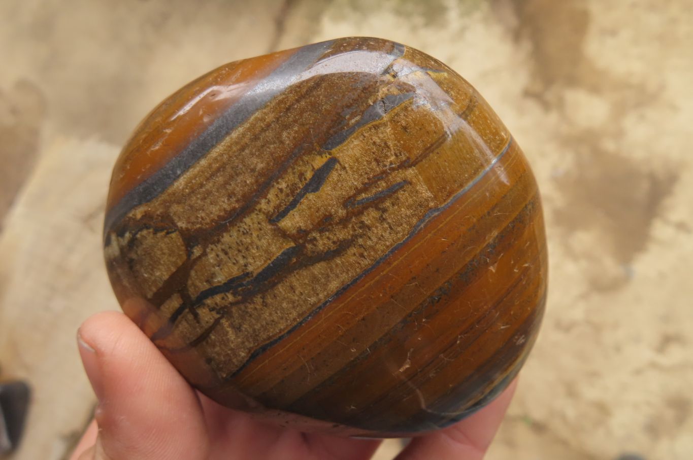 Polished Tiger's Eye Free Forms x 3 From Prieska, South Africa - Toprock Gemstones and Minerals 