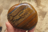 Polished Tiger's Eye Free Forms x 3 From Prieska, South Africa