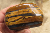 Polished Tiger's Eye Free Forms x 3 From Prieska, South Africa