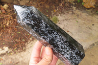 Polished Gabbro / Merlinite Points x 2 From Madagascar