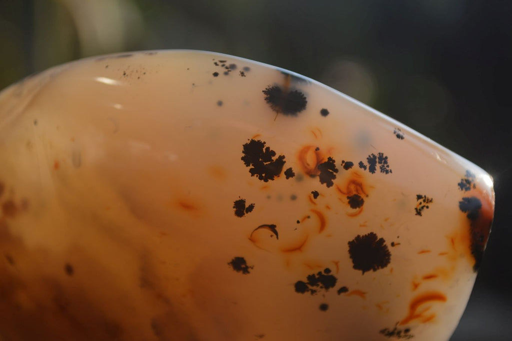 Polished Dendritic Agate Standing Free Forms x 2 From Madagascar - Toprock Gemstones and Minerals 