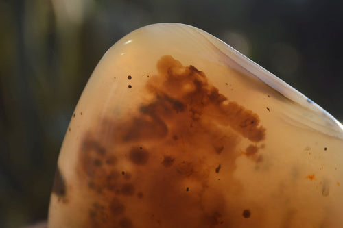 Polished Dendritic Agate Standing Free Forms x 2 From Madagascar - Toprock Gemstones and Minerals 