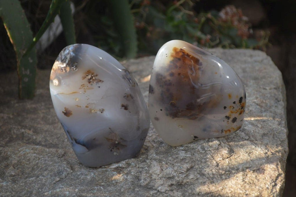 Polished Dendritic Agate Standing Free Forms x 2 From Madagascar - Toprock Gemstones and Minerals 