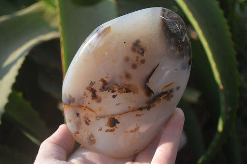 Polished Dendritic Agate Standing Free Forms x 2 From Madagascar - Toprock Gemstones and Minerals 