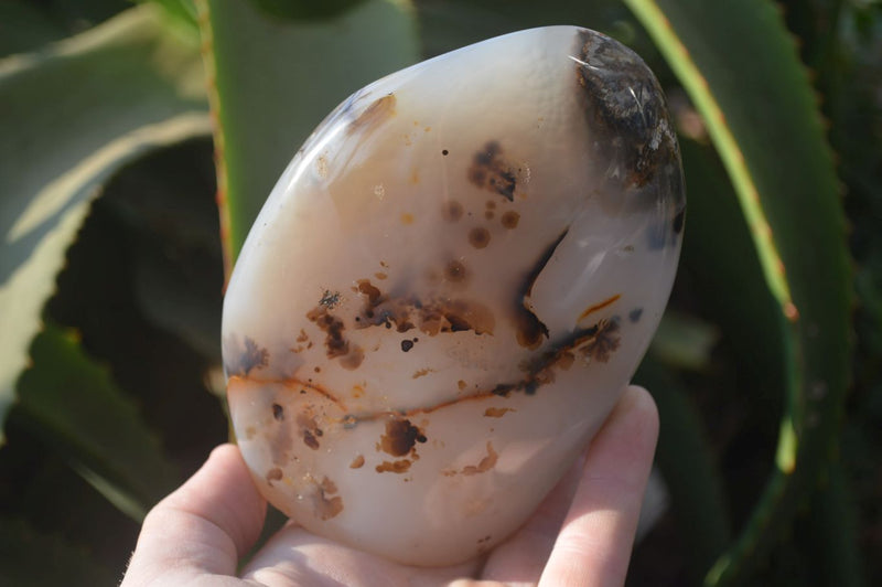 Polished Dendritic Agate Standing Free Forms x 2 From Madagascar - Toprock Gemstones and Minerals 