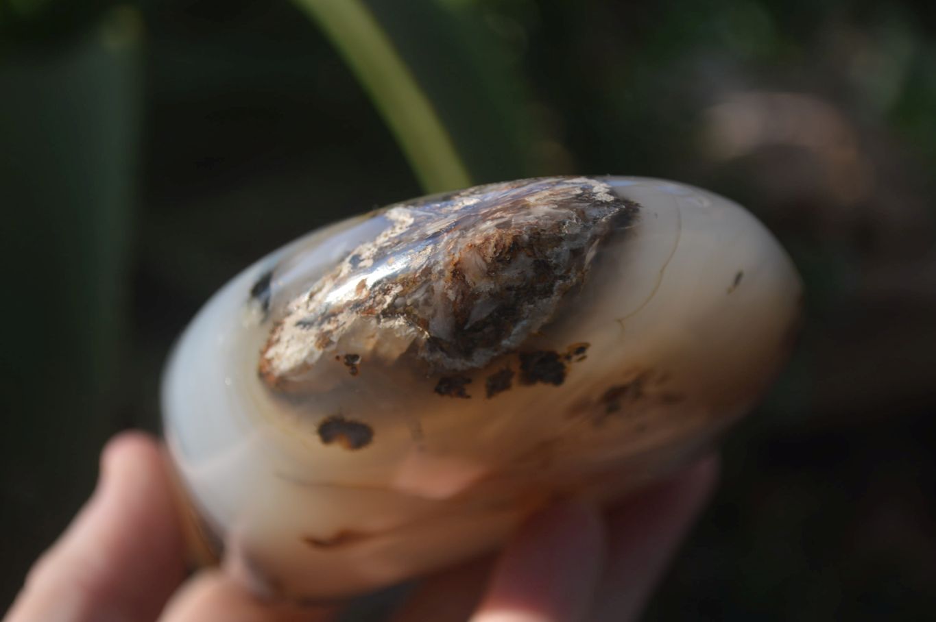 Polished Dendritic Agate Standing Free Forms x 2 From Madagascar - Toprock Gemstones and Minerals 
