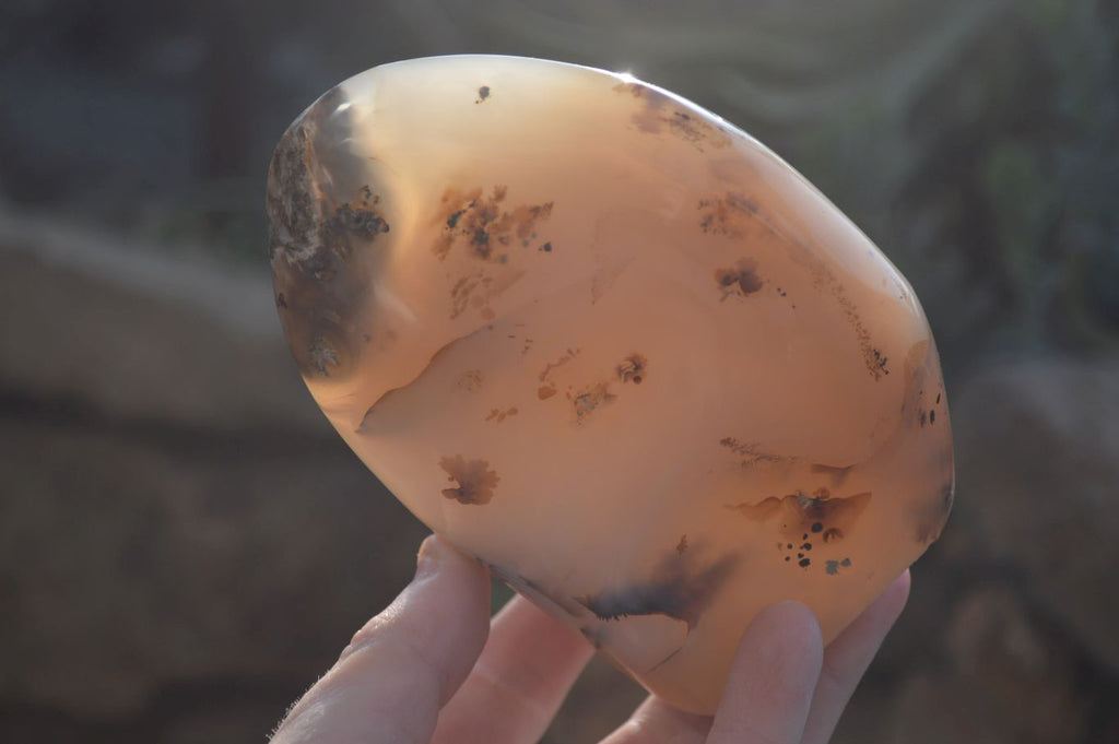 Polished Dendritic Agate Standing Free Forms x 2 From Madagascar - Toprock Gemstones and Minerals 