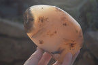 Polished Dendritic Agate Standing Free Forms x 2 From Madagascar - Toprock Gemstones and Minerals 