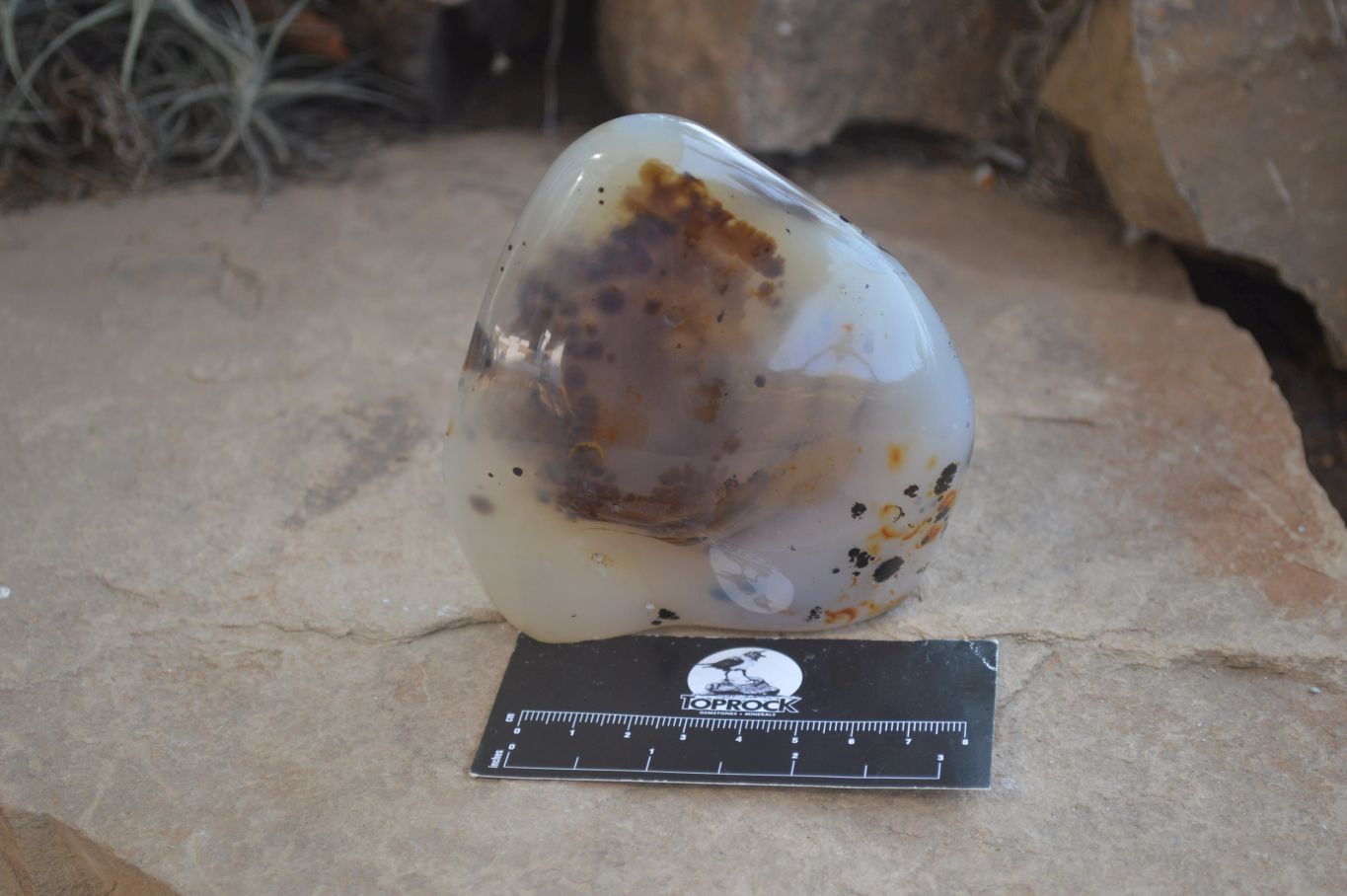 Polished Dendritic Agate Standing Free Forms x 2 From Madagascar - Toprock Gemstones and Minerals 