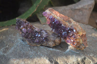 Natural Amethystos Amethyst Plates x 7 From Kwaggafontein, South Africa - Toprock Gemstones and Minerals 
