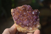 Natural Amethystos Amethyst Plates x 7 From Kwaggafontein, South Africa - Toprock Gemstones and Minerals 