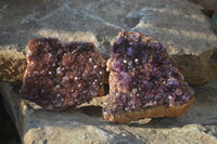Natural Amethystos Amethyst Plates x 7 From Kwaggafontein, South Africa - Toprock Gemstones and Minerals 