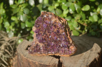Natural Amethystos Amethyst Plates x 7 From Kwaggafontein, South Africa - Toprock Gemstones and Minerals 