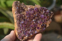 Natural Amethystos Amethyst Plates x 7 From Kwaggafontein, South Africa - Toprock Gemstones and Minerals 
