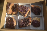Natural Amethystos Amethyst Plates x 7 From Kwaggafontein, South Africa - Toprock Gemstones and Minerals 