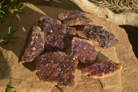 Natural Amethystos Amethyst Plates x 7 From Kwaggafontein, South Africa - Toprock Gemstones and Minerals 