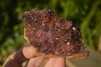 Natural Amethystos Amethyst Plates x 7 From Kwaggafontein, South Africa - Toprock Gemstones and Minerals 