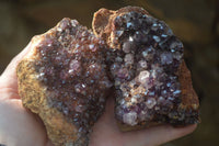 Natural Amethystos Amethyst Plates x 7 From Kwaggafontein, South Africa - Toprock Gemstones and Minerals 