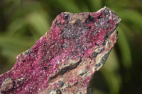 Natural Salrose Cobaltion Dolomite Specimens x 3 From Kakanda, Congo - Toprock Gemstones and Minerals 