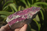 Natural Salrose Cobaltion Dolomite Specimens x 3 From Kakanda, Congo - Toprock Gemstones and Minerals 