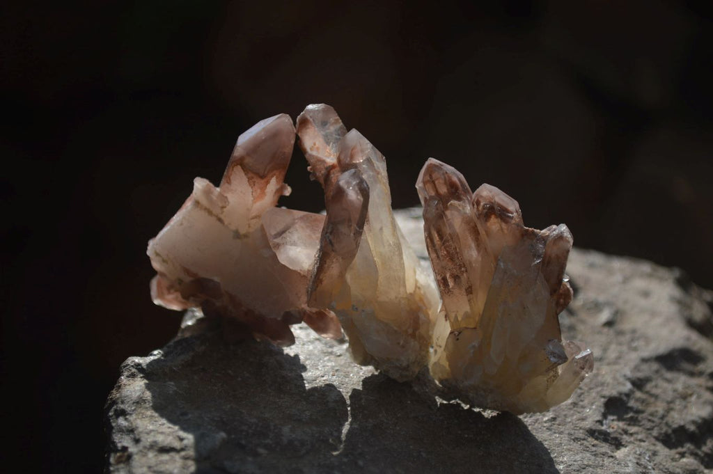 Natural Red Hematoid Quartz Single Small Clusters x 63 From Karoi, Zimbabwe - Toprock Gemstones and Minerals 