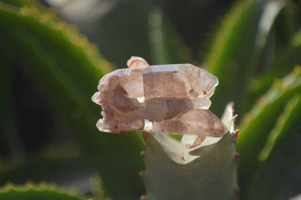 Natural Red Hematoid Quartz Single Small Clusters x 63 From Karoi, Zimbabwe - Toprock Gemstones and Minerals 