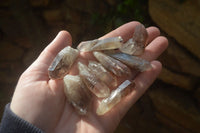 Natural Red Hematoid Quartz Single Small Clusters x 63 From Karoi, Zimbabwe